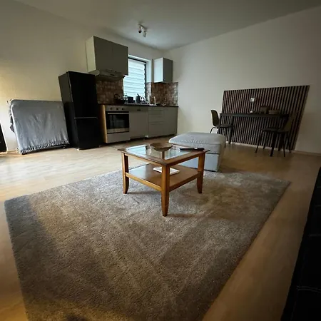Modern, Cosy With Access Bonn